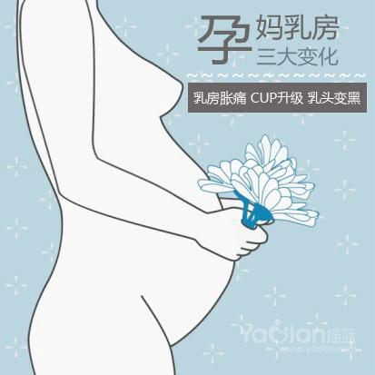 首页 怀孕妈妈 孕期 乳房不可避免的三大变化  备孕三个月,小丽如愿怀