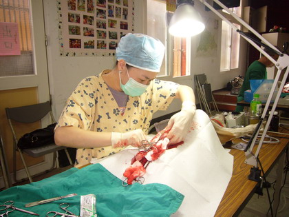女性结扎手术又叫输卵管结扎术,是一项操作简单,副作用少,并且安全
