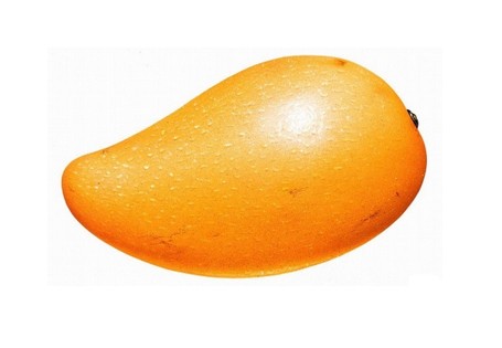 иܳâ  â 