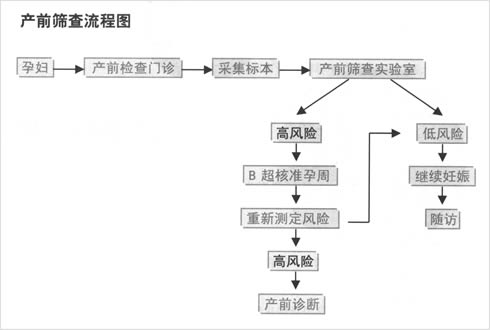 產前篩查及產前診斷工作流程圖