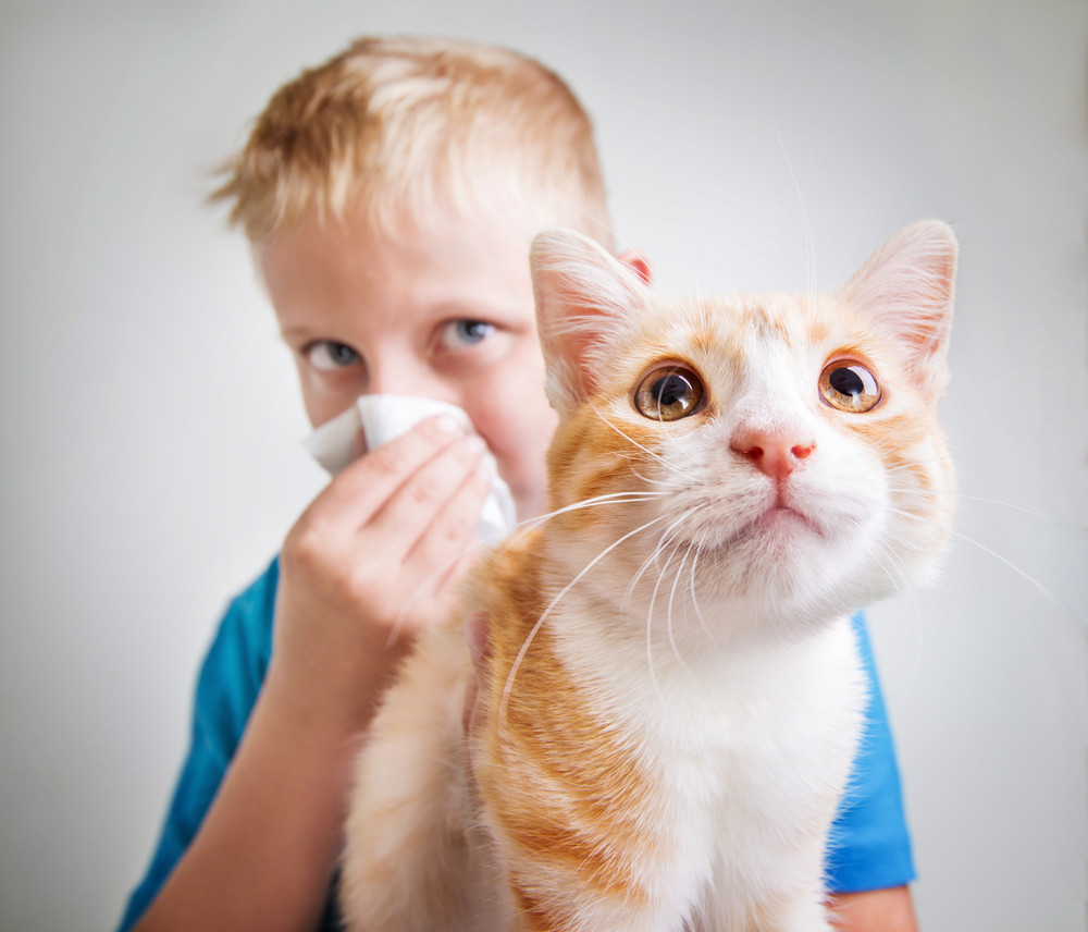儿童过敏性鼻炎引发嗓子疼怎么办
