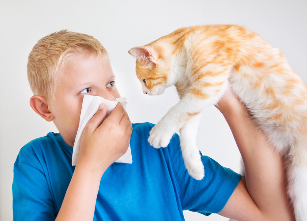孩子鼻炎有粘稠白鼻涕怎么办
